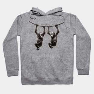 orangutan Hoodie